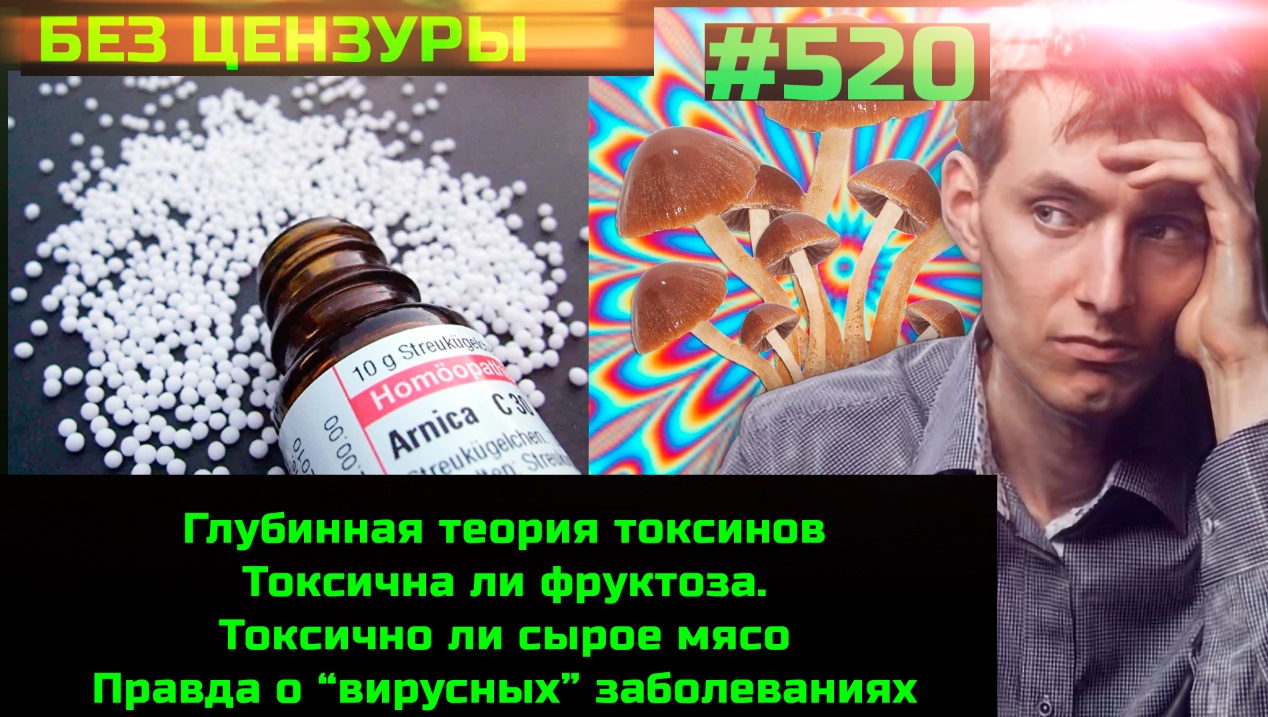 #520 Глубинная теория токсинов. Предупреждение Будильнику от Романа Минаева